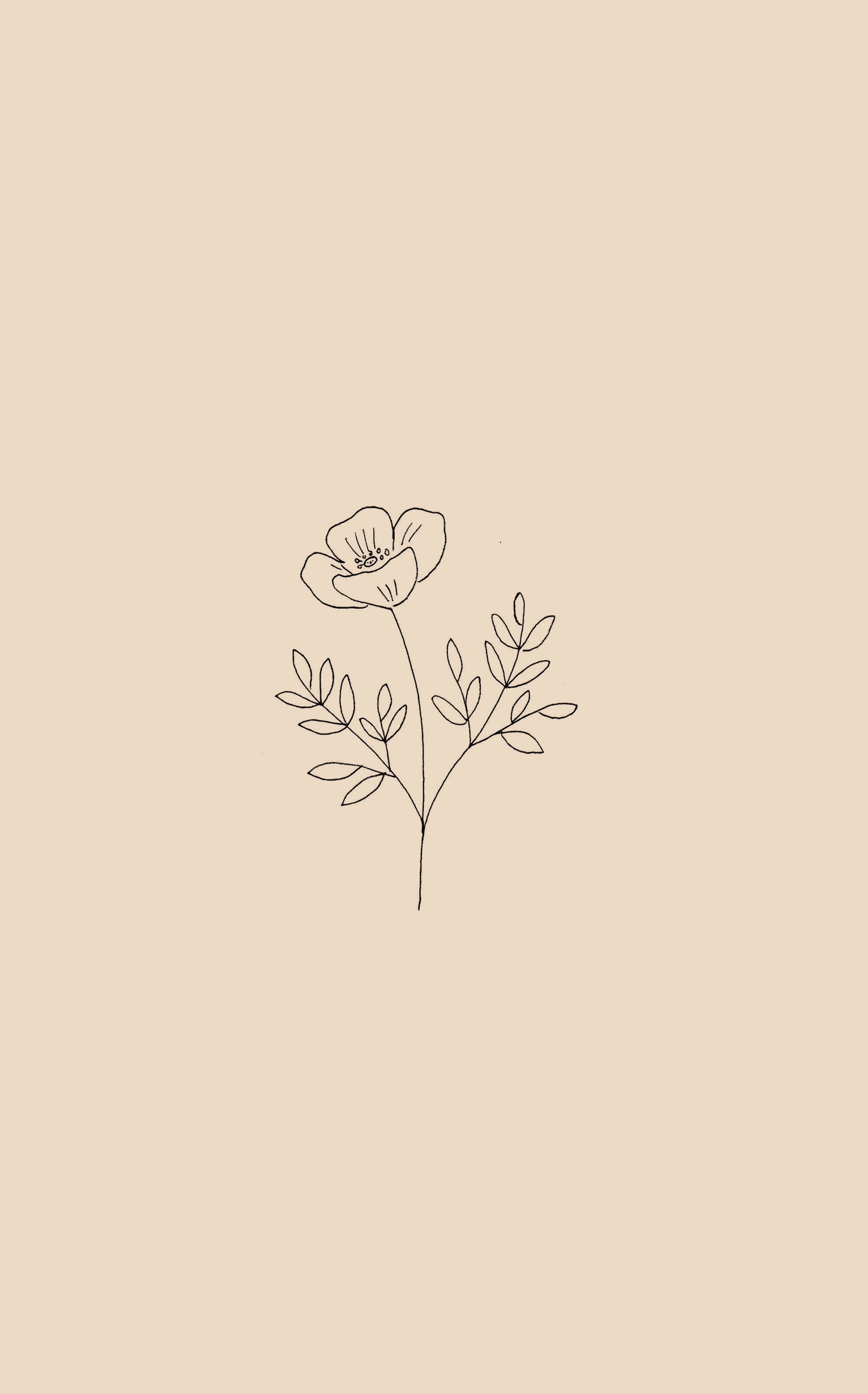 Aesthetic Drawings Flowers Wallpapers