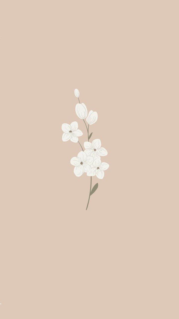 Aesthetic Drawings Flowers Wallpapers