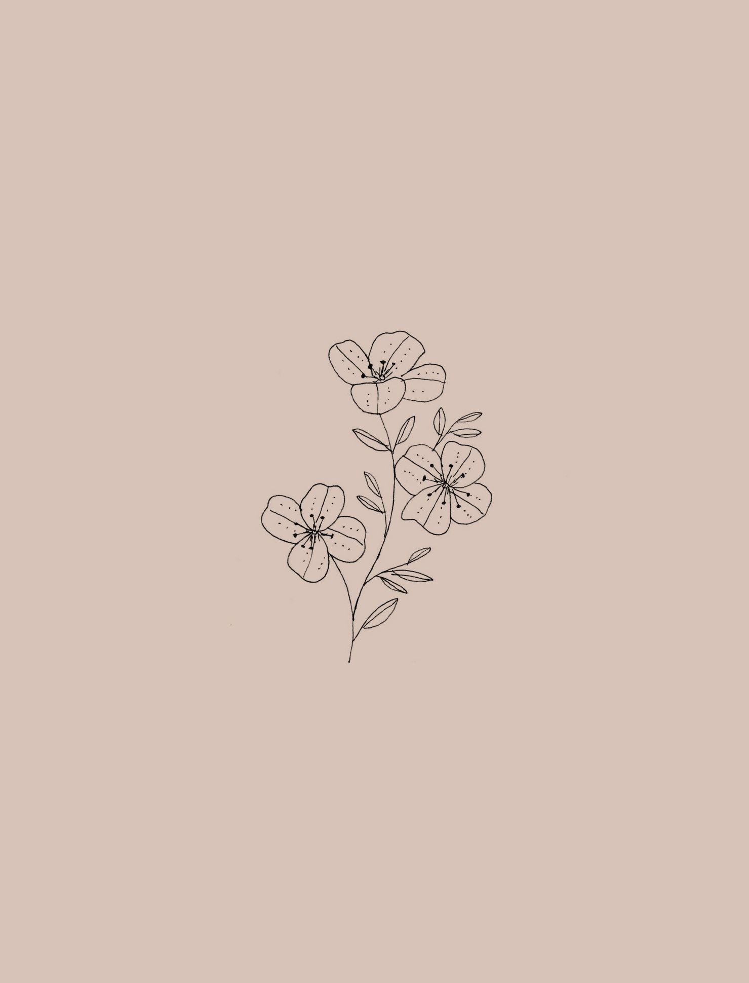 Aesthetic Drawings Flowers Wallpapers