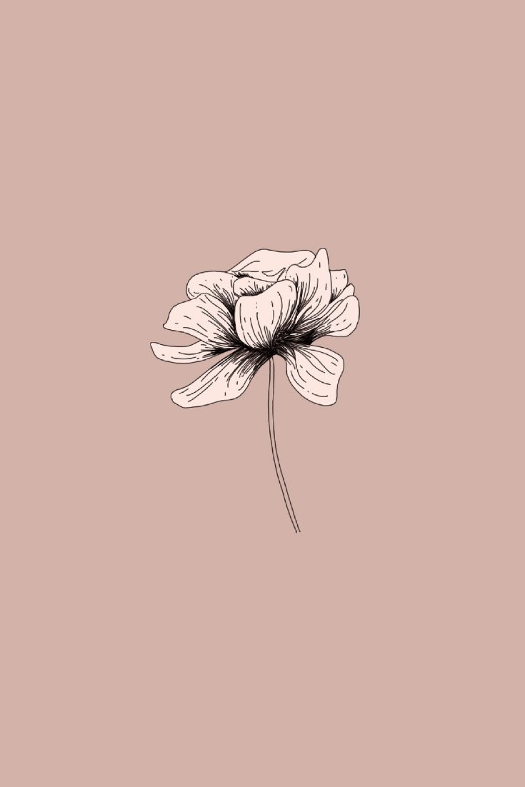 Aesthetic Drawings Flowers Wallpapers