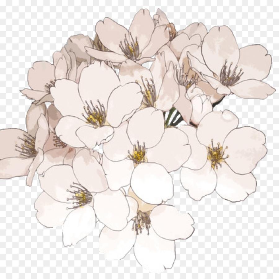 Aesthetic Drawings Flowers Wallpapers