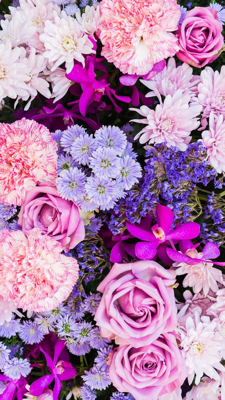 Aesthetic Floral Hd Wallpapers