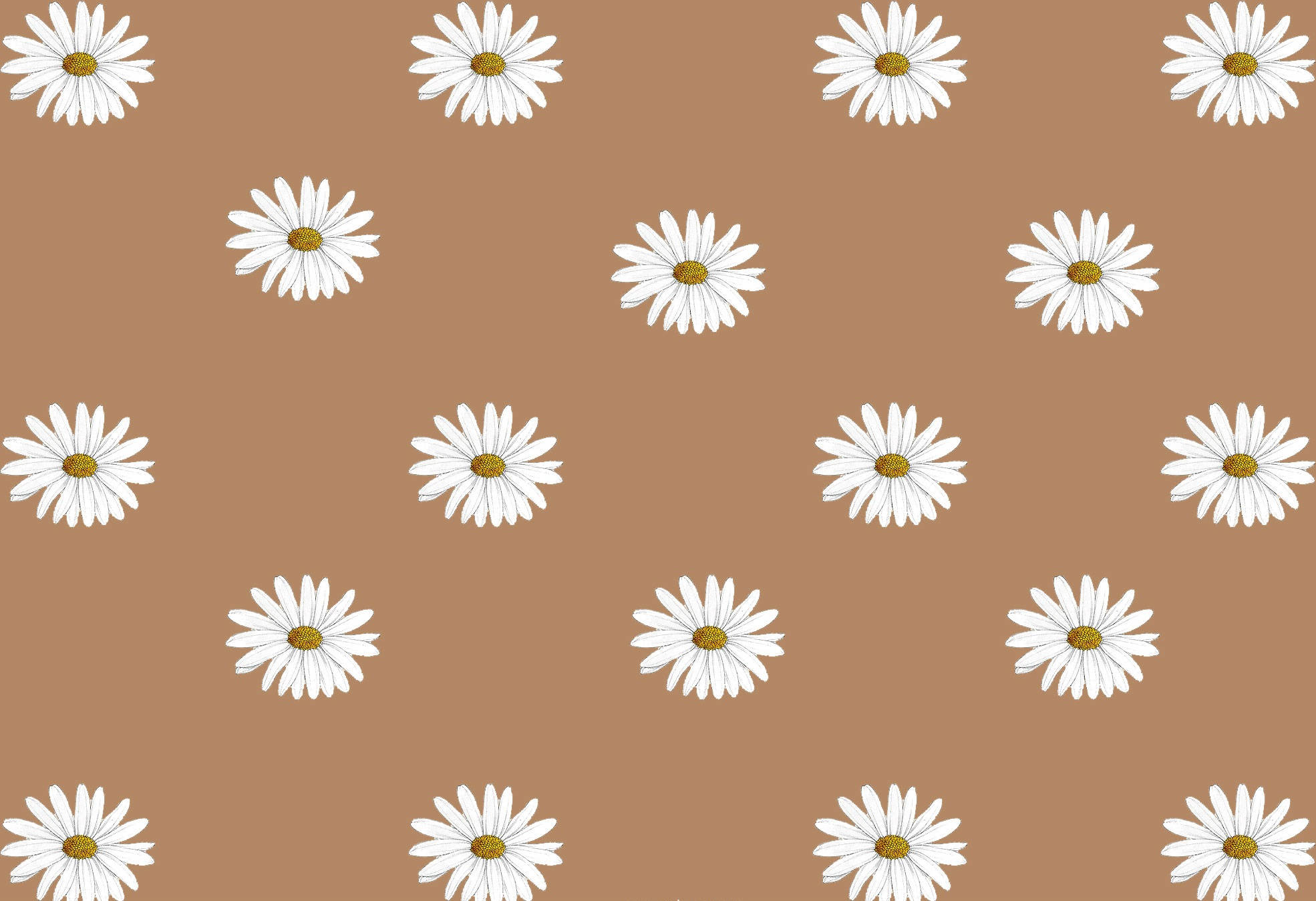 Aesthetic Flower Drawing Wallpapers