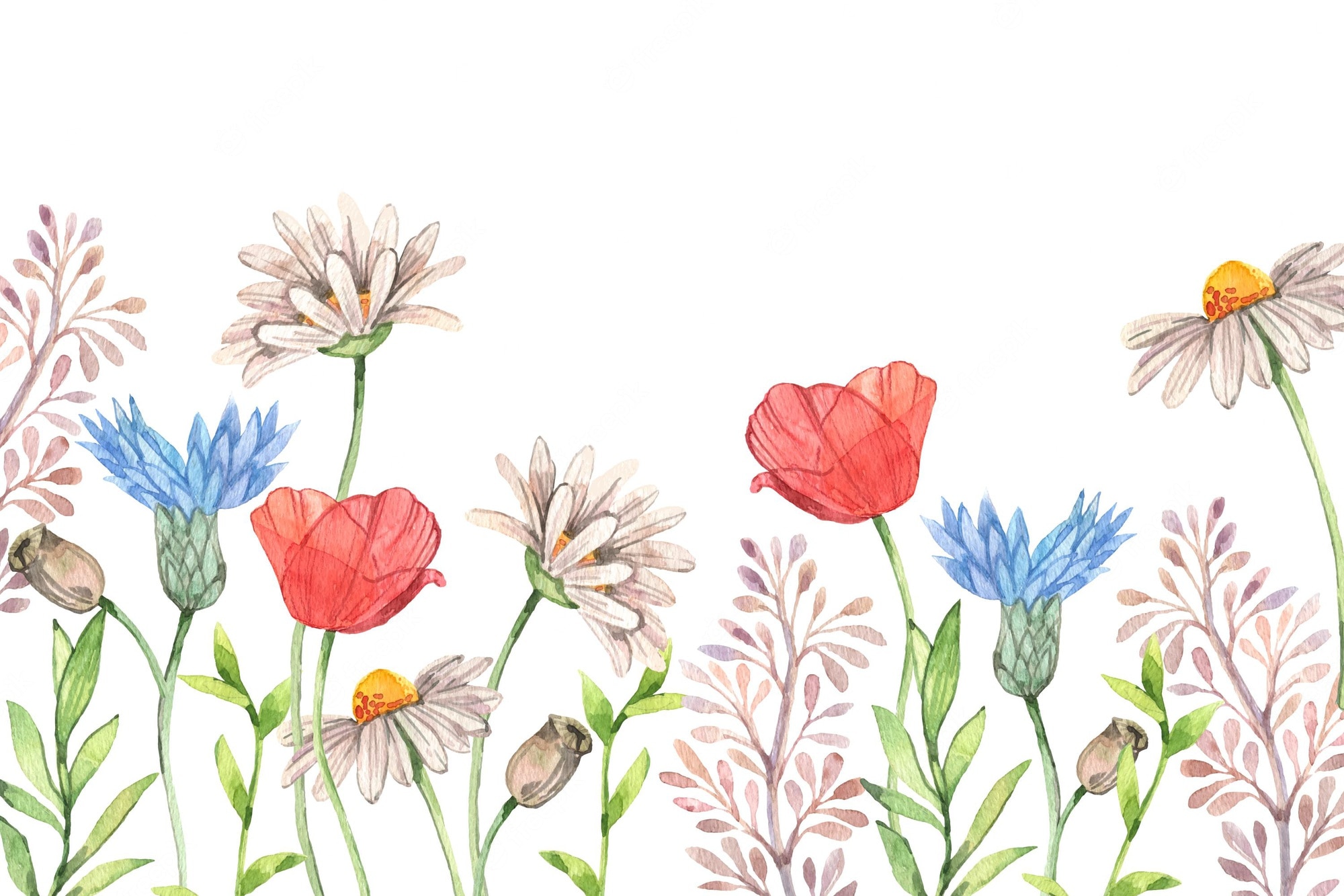 Aesthetic Flower Drawing Wallpapers