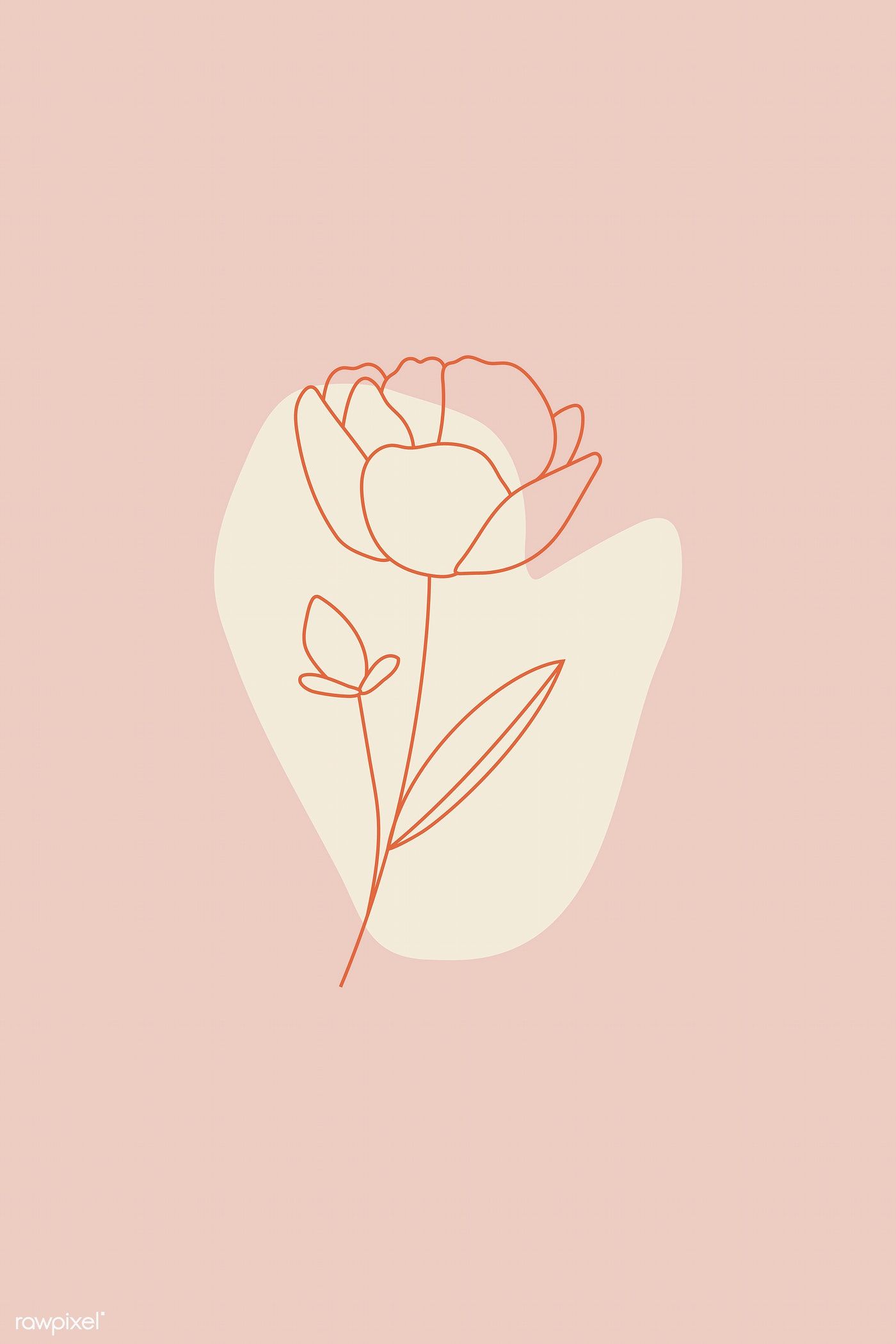 Aesthetic Flower Drawing Wallpapers