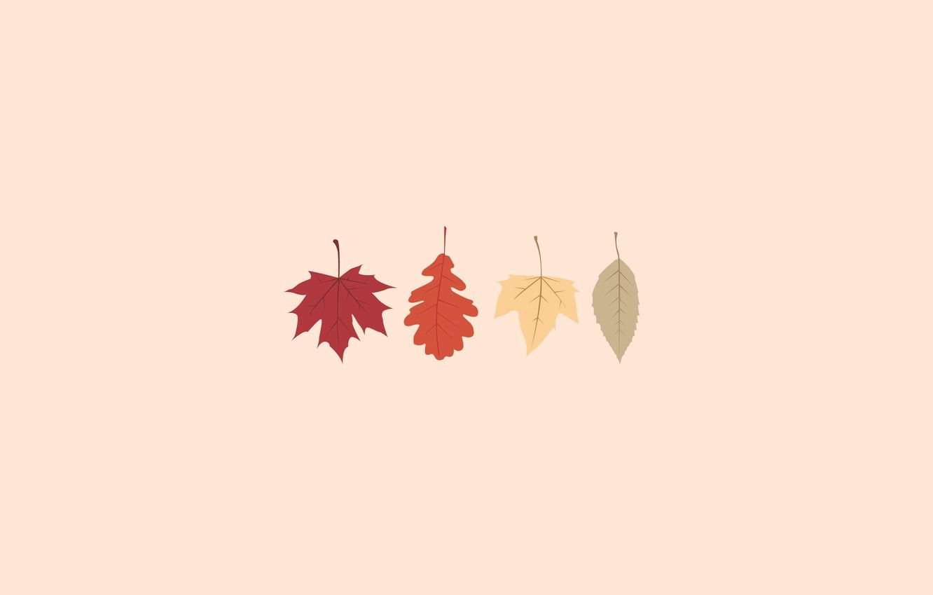 Aesthetic For Thanksgiving Wallpapers