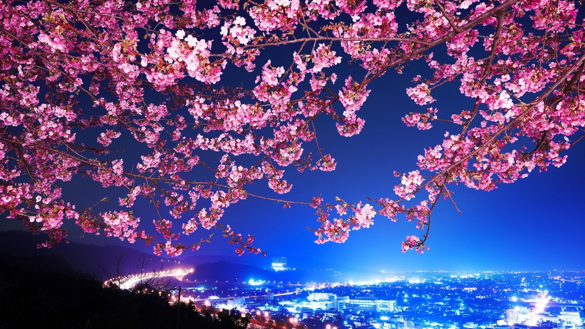 Aesthetic Japanese Pc Wallpapers