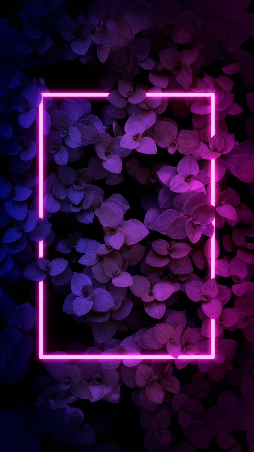 Aesthetic Led Light Wallpapers