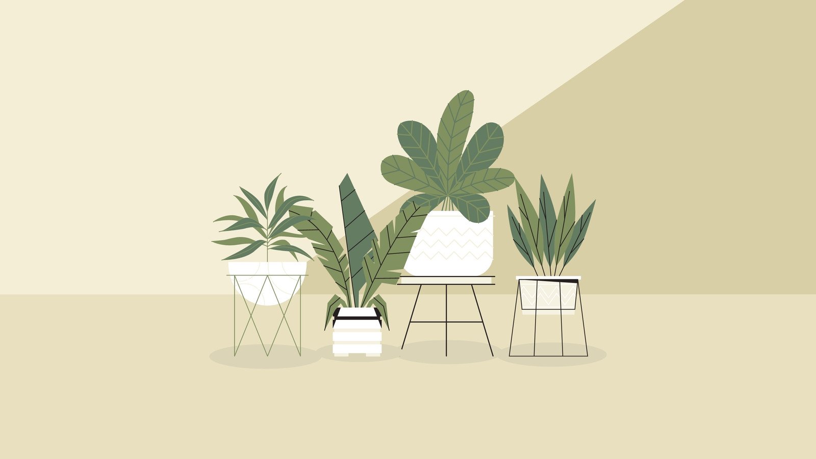 Aesthetic Minimalist Plant Desktop Wallpapers