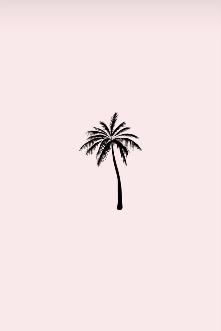 Aesthetic Palm Trees Wallpapers