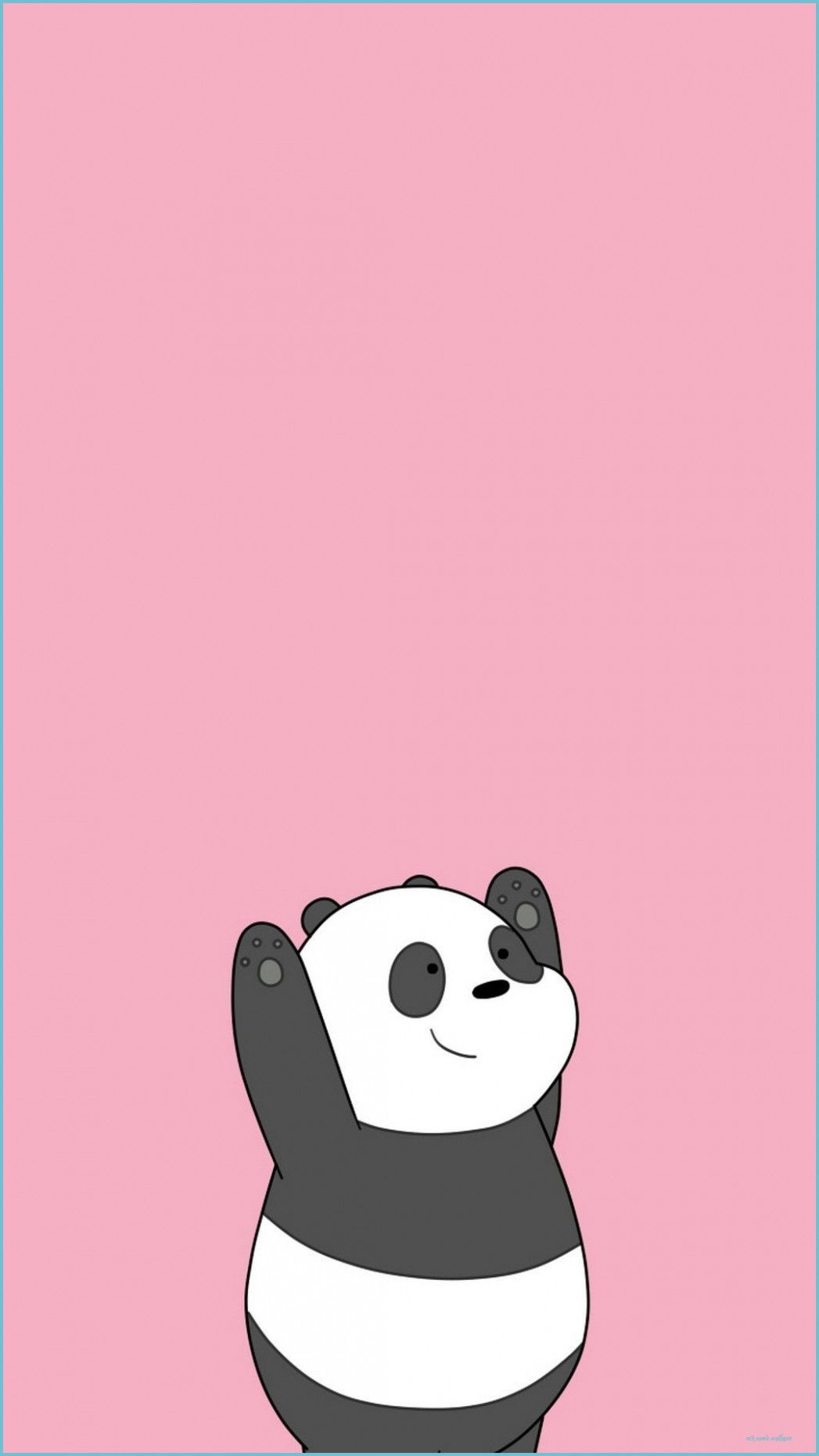 Aesthetic Panda Wallpapers