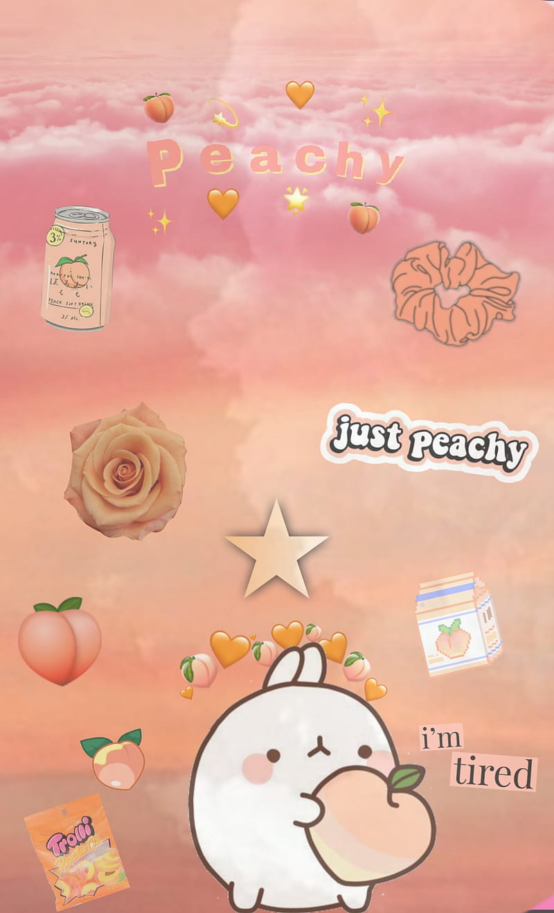 Aesthetic Peach Iphone Wallpapers