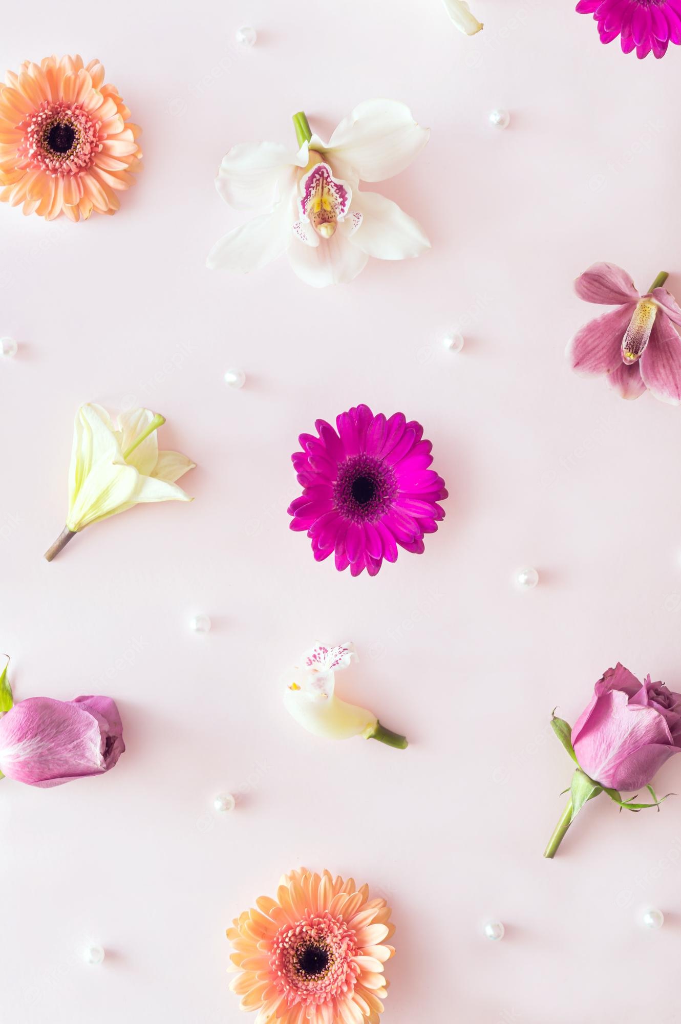 Aesthetic Pink Flower Wallpapers
