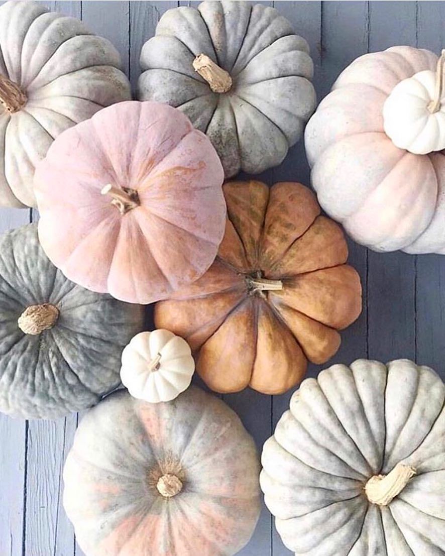 Aesthetic Pumpkin Wallpapers