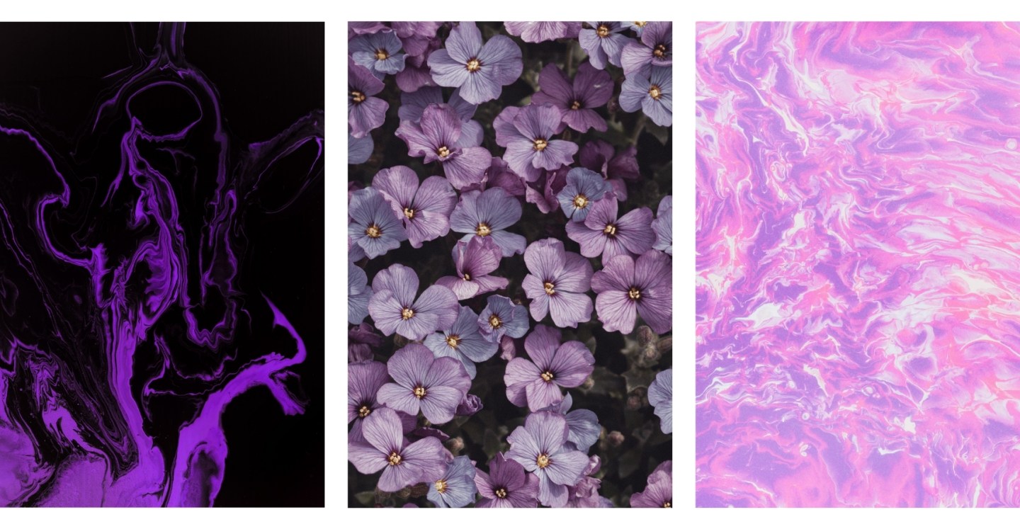 Aesthetic Purple Flower Wallpapers