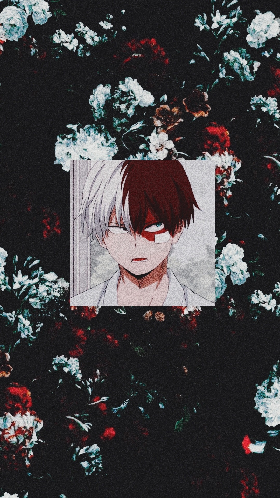 Aesthetic Shoto Wallpapers