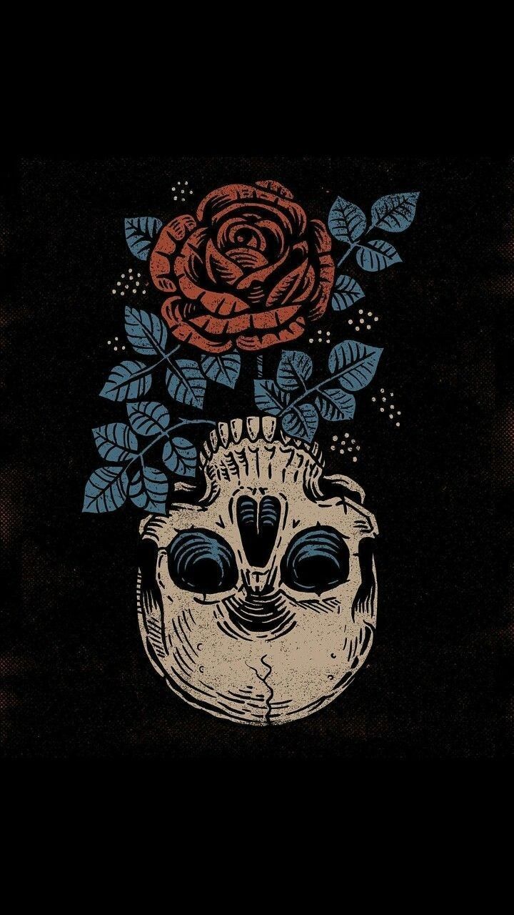 Aesthetic Skull Wallpapers