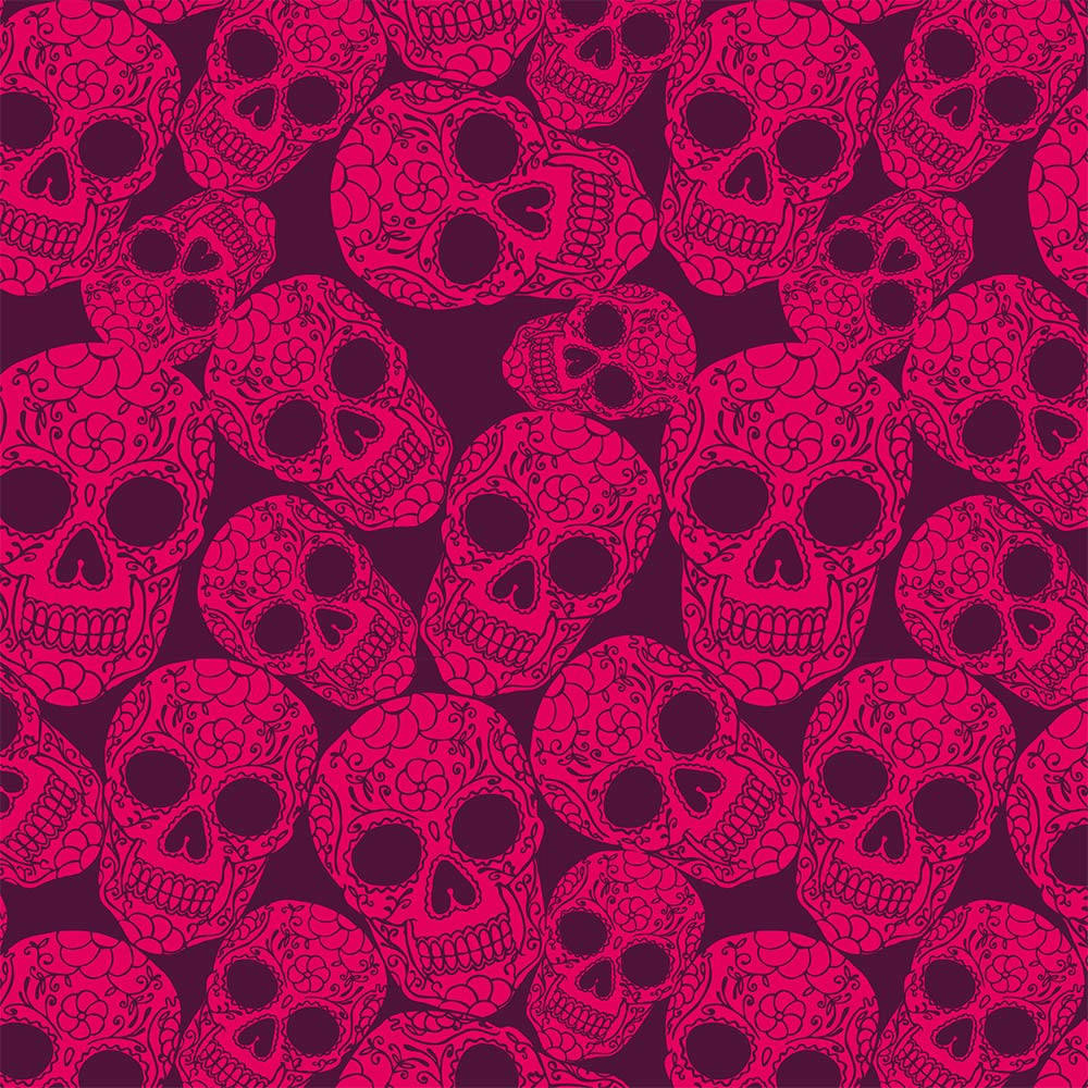 Aesthetic Skull Wallpapers