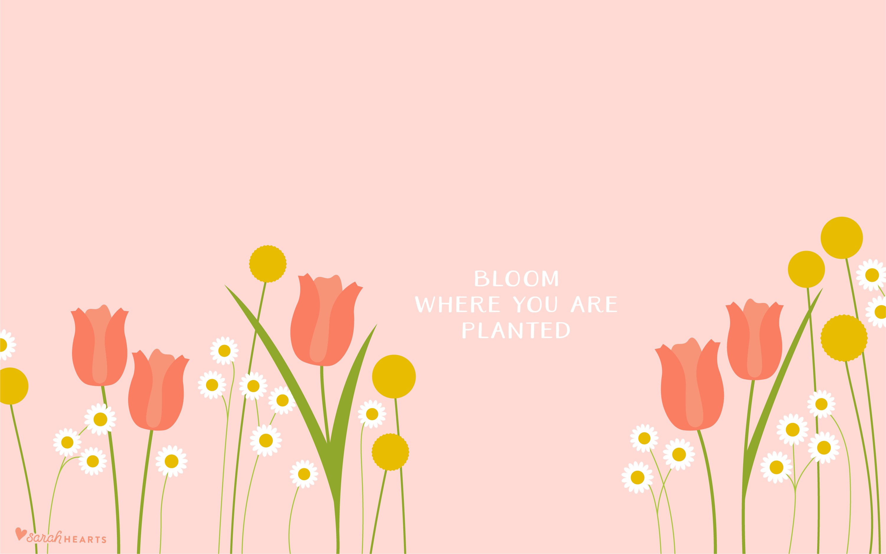 Aesthetic Spring Laptop Wallpapers