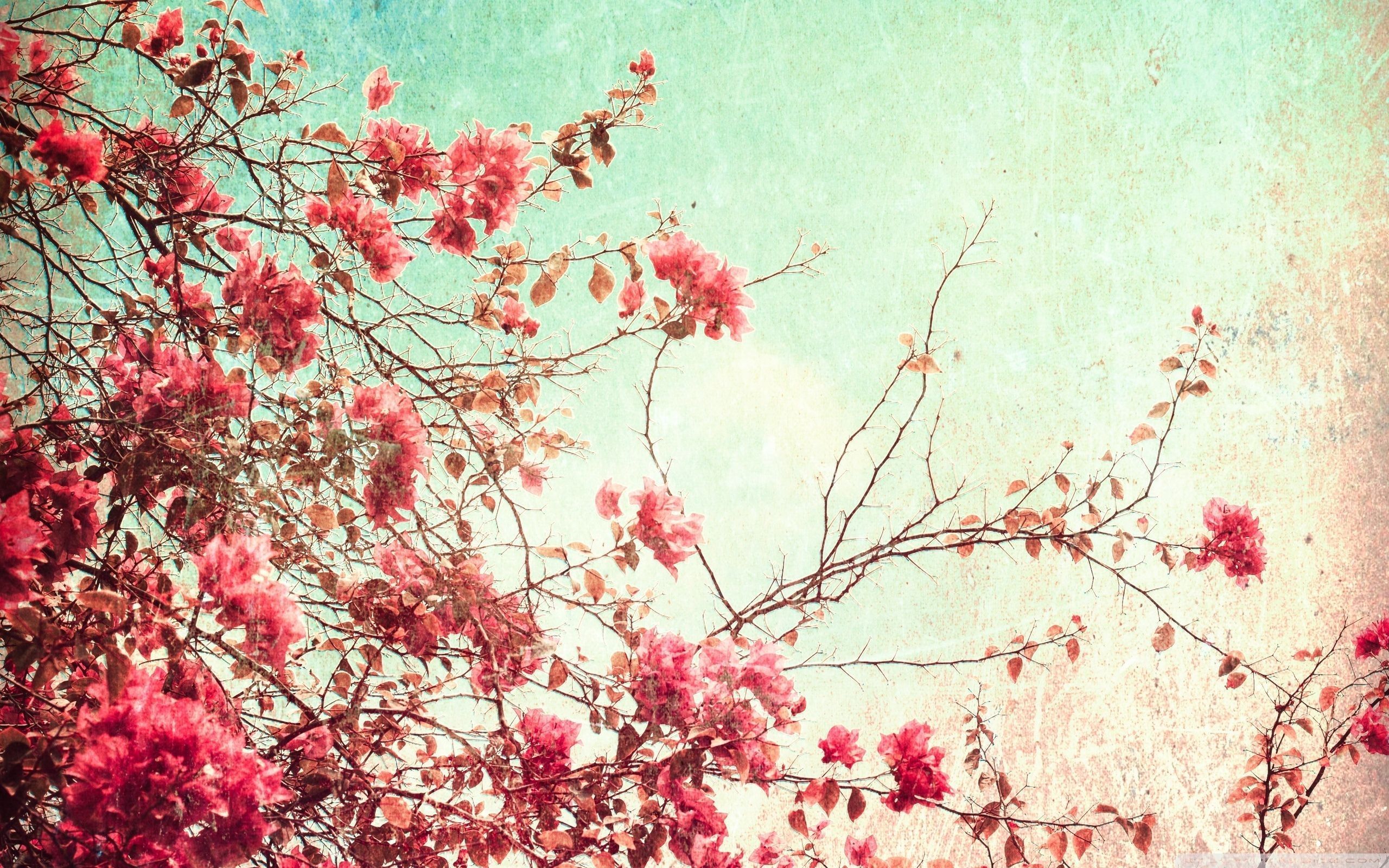 Aesthetic Spring Laptop Wallpapers