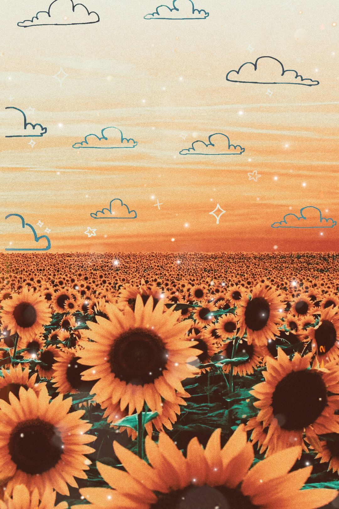 Aesthetic Sunflower Wallpapers