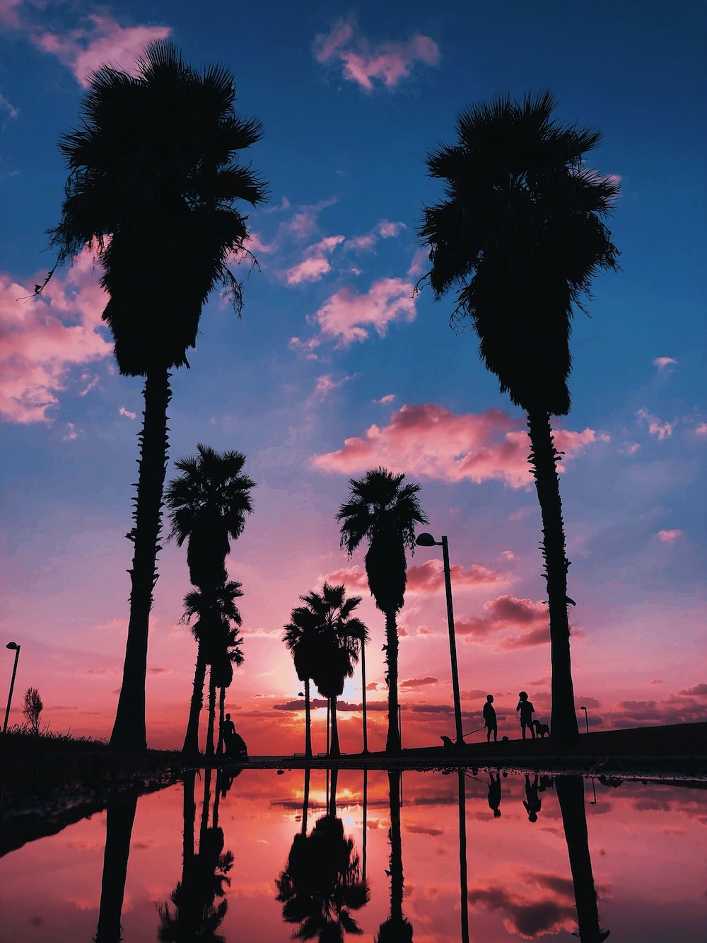 Aesthetic Sunset Wallpapers