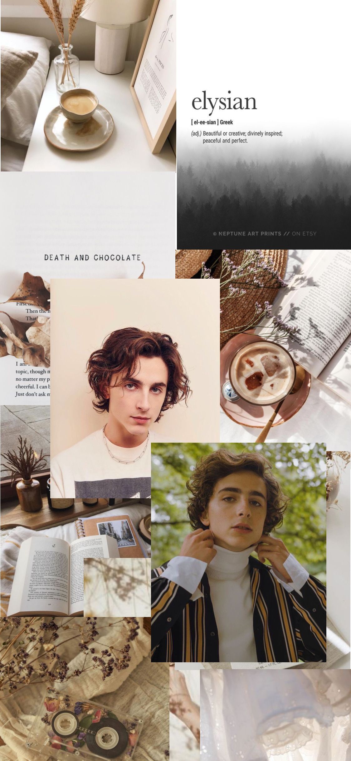 Aesthetic Timothee Chalamet Wallpapers