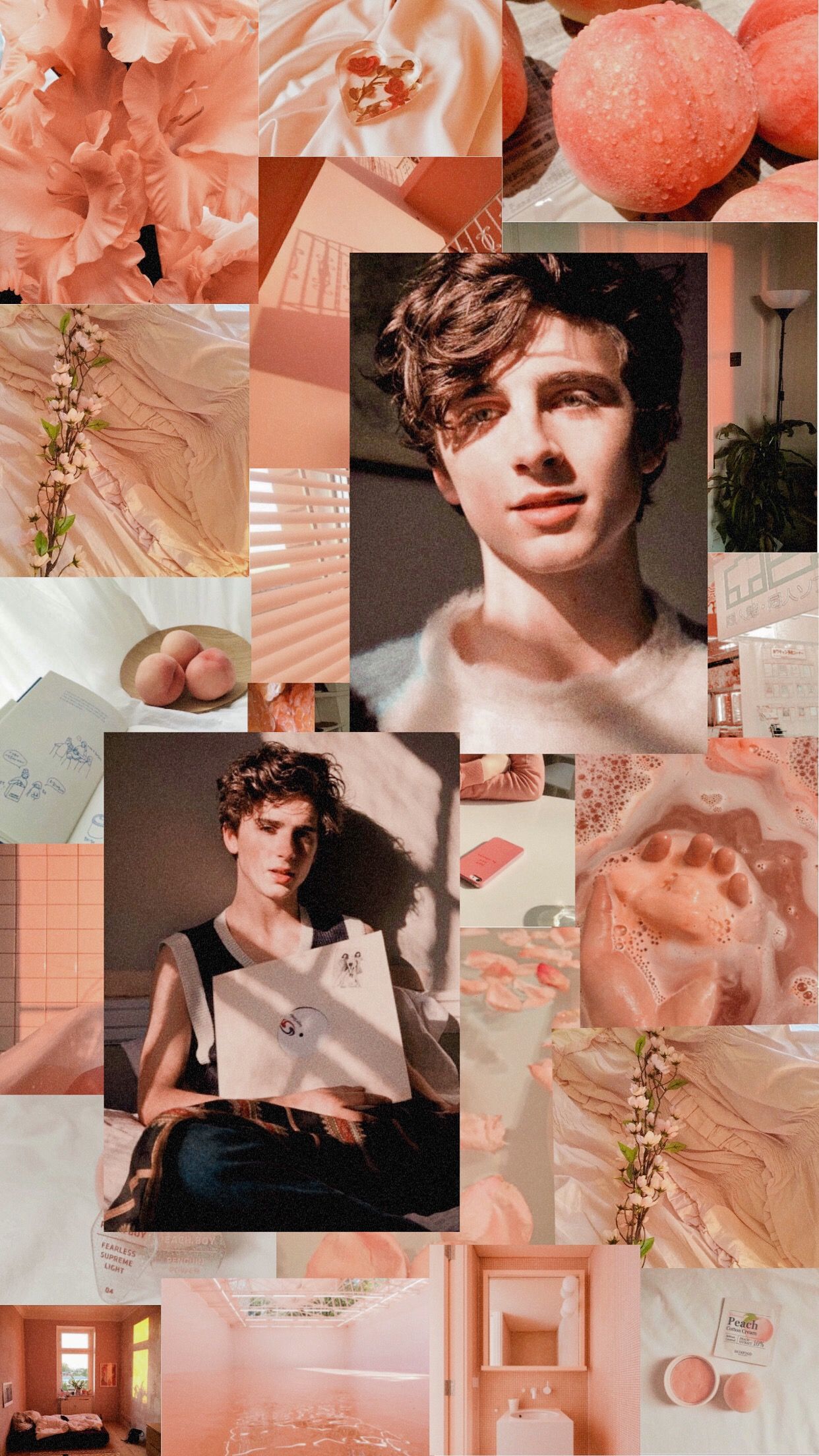 Aesthetic Timothee Chalamet Wallpapers