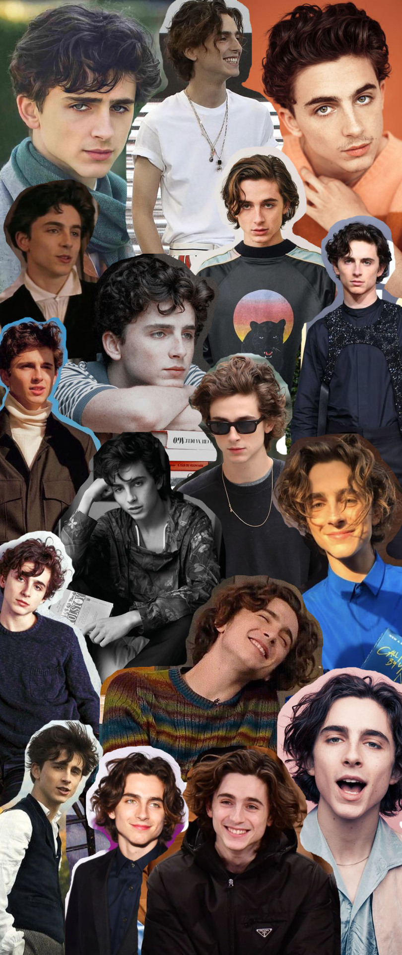 Aesthetic Timothee Chalamet Wallpapers