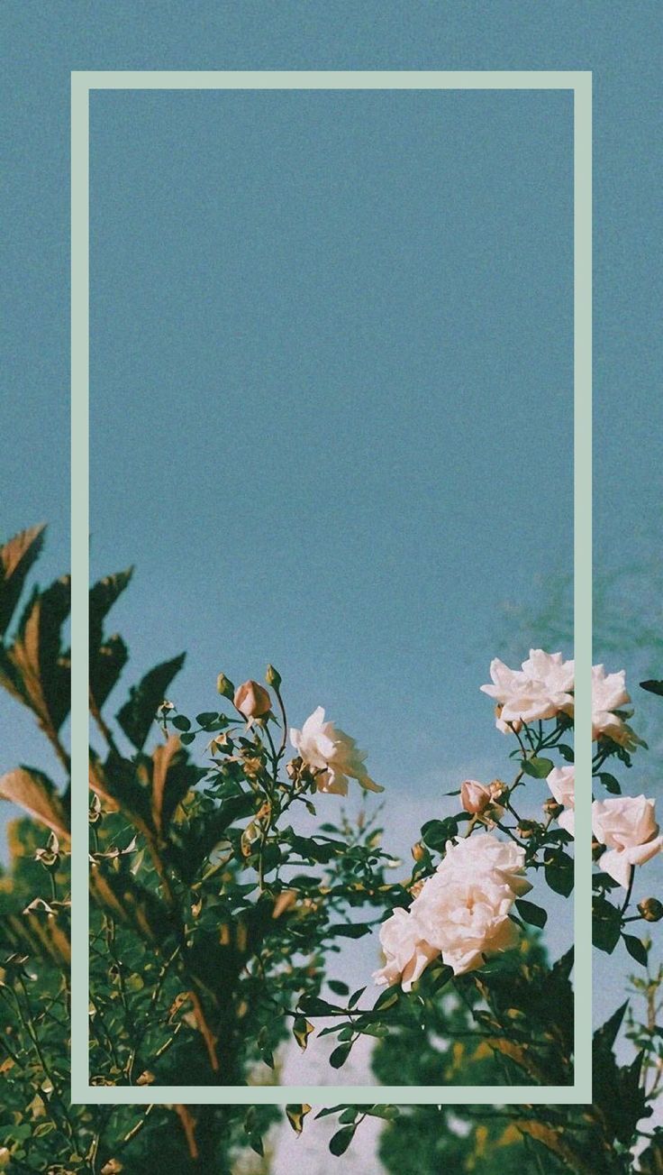 Aesthetic Tumblr Iphone Wallpapers