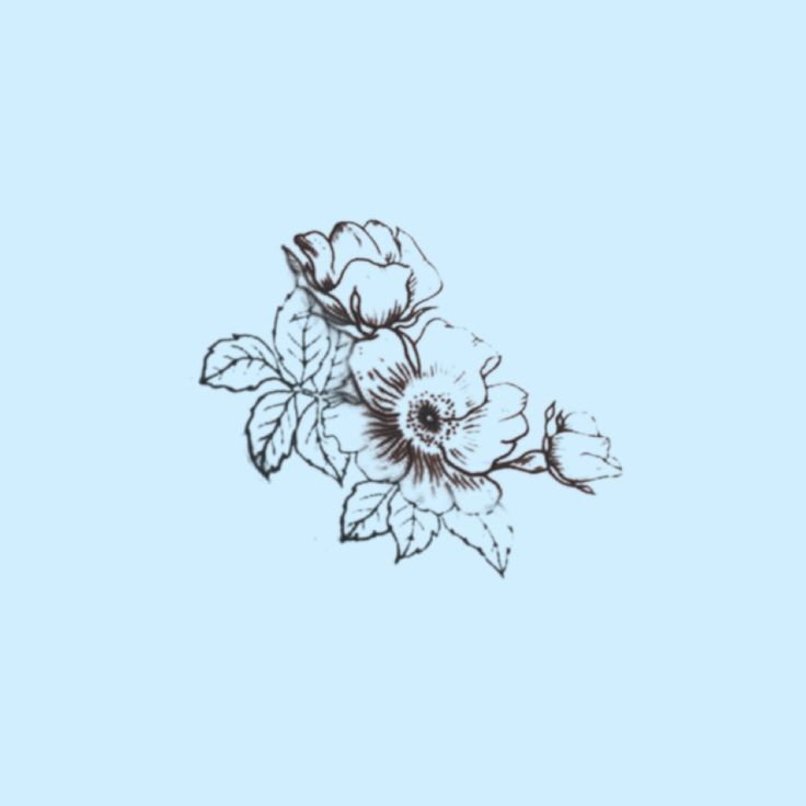 Aesthetics Blue Drawn Flower Wallpapers