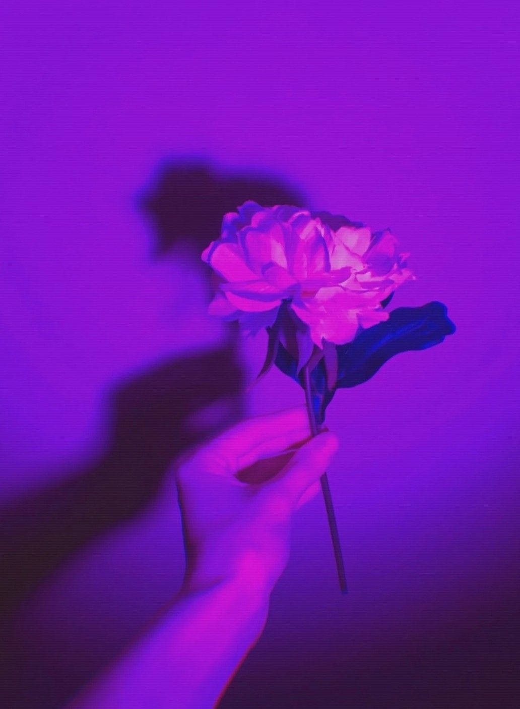 Aesthetics Flower Grunge Wallpapers