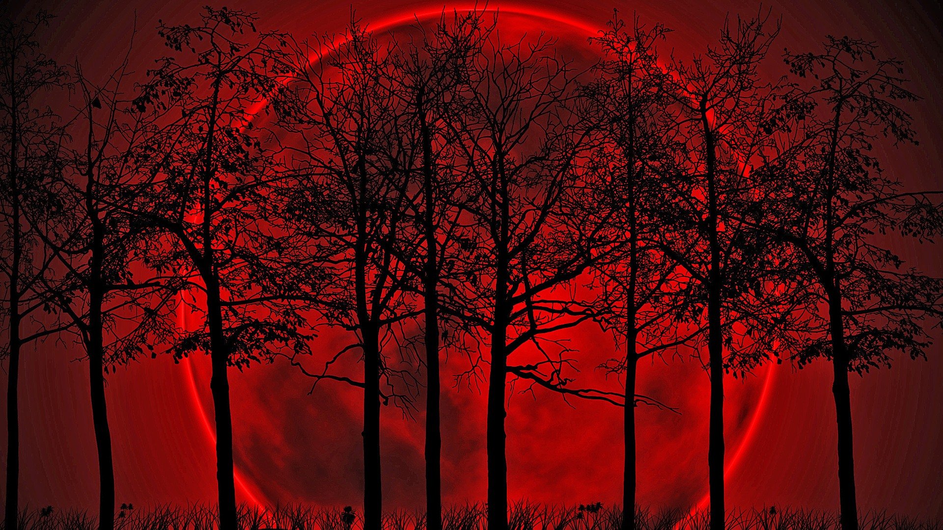 Blood Moon 4K Wallpapers