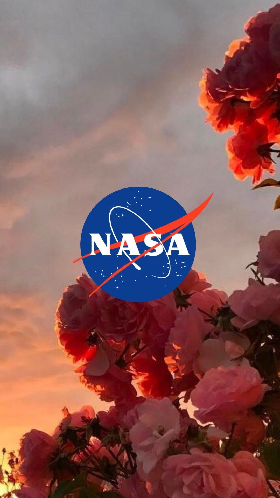 Nasa Logo Wallpapers