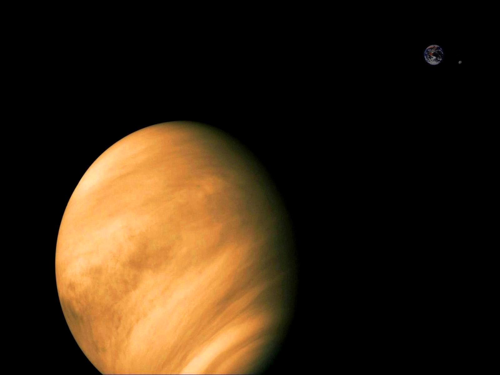 Venus Wallpapers