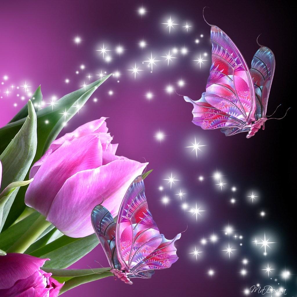 3D Butterfly Wallpapers