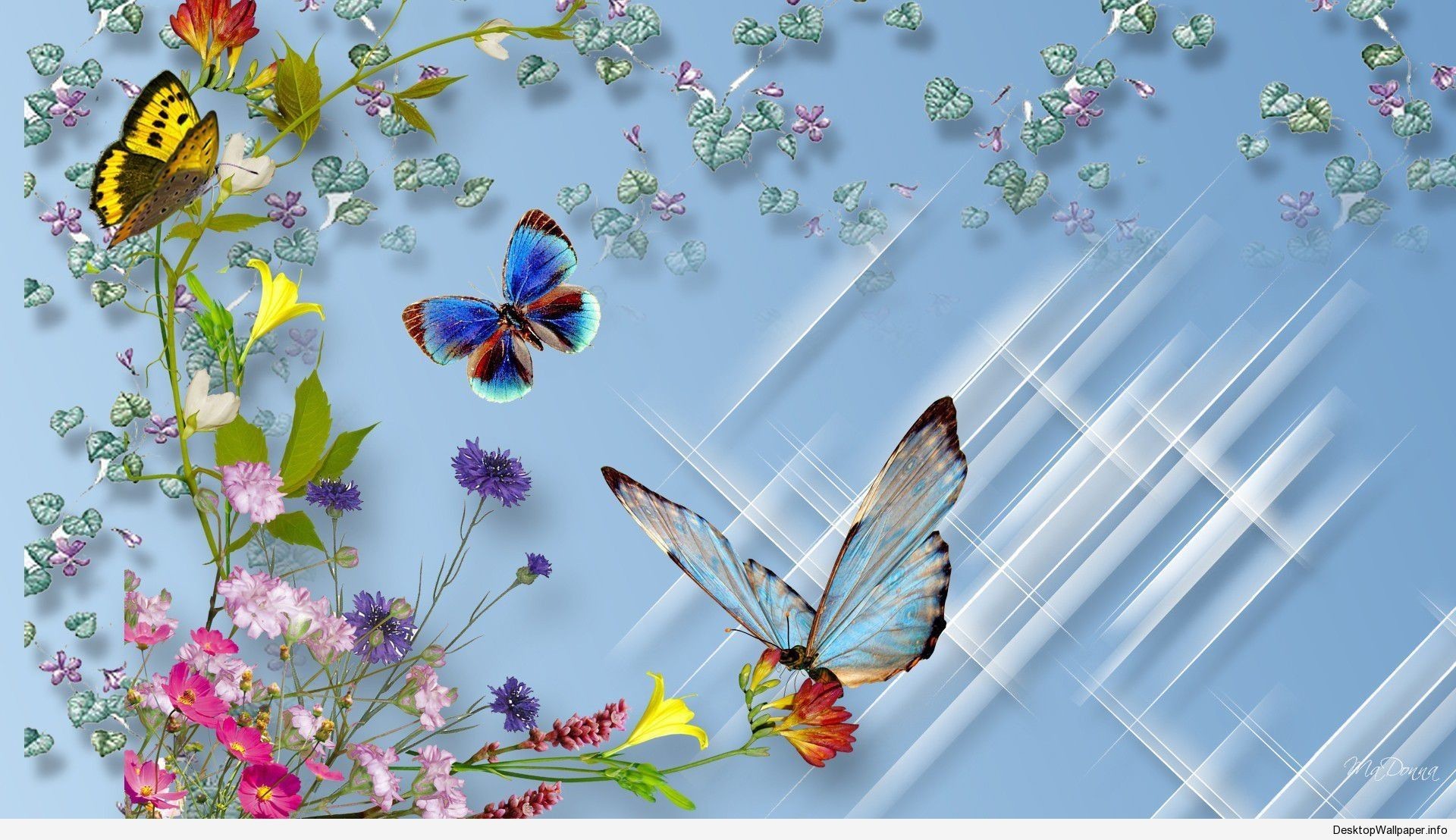 3D Butterfly Wallpapers