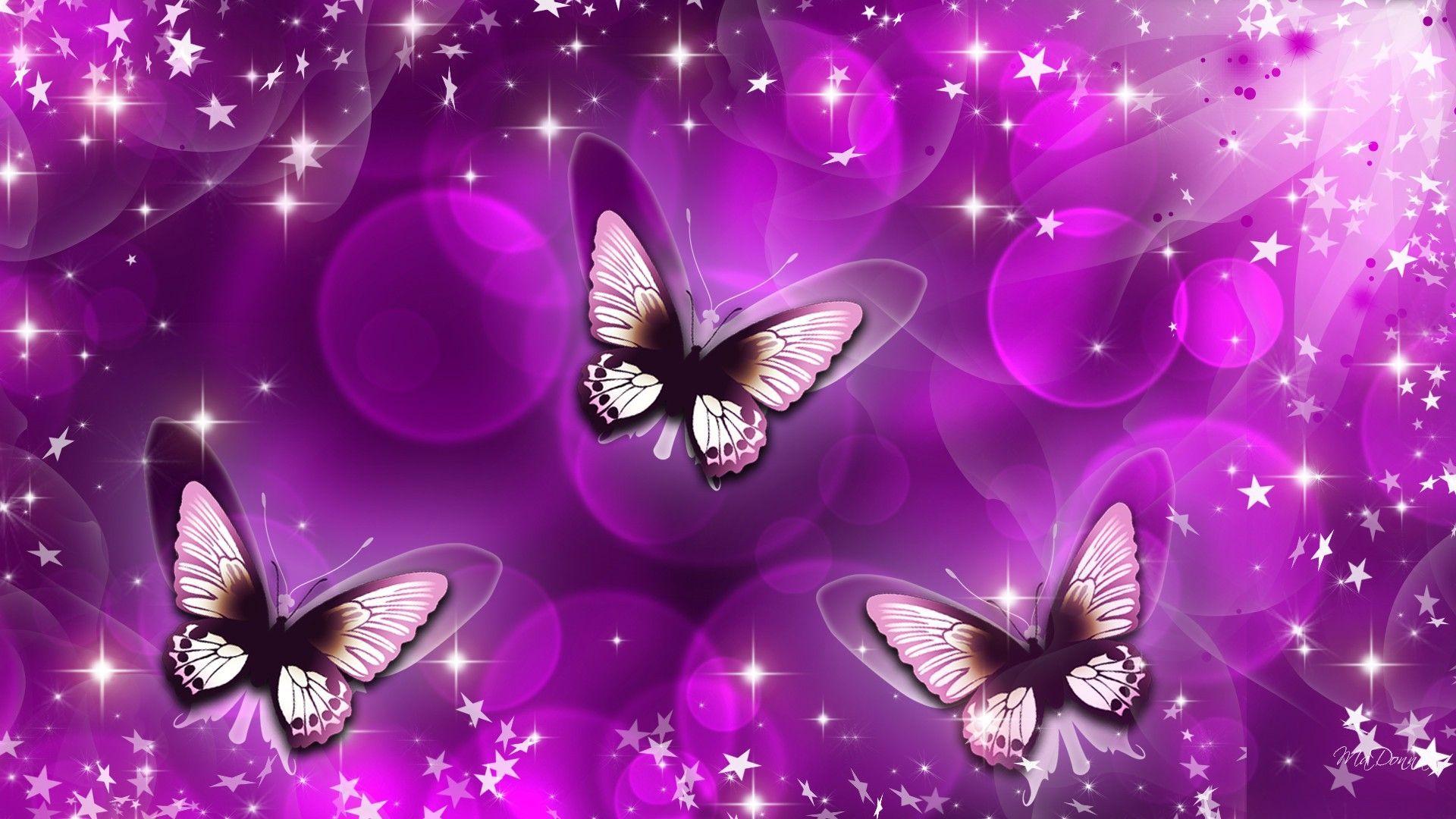 3D Butterfly Wallpapers