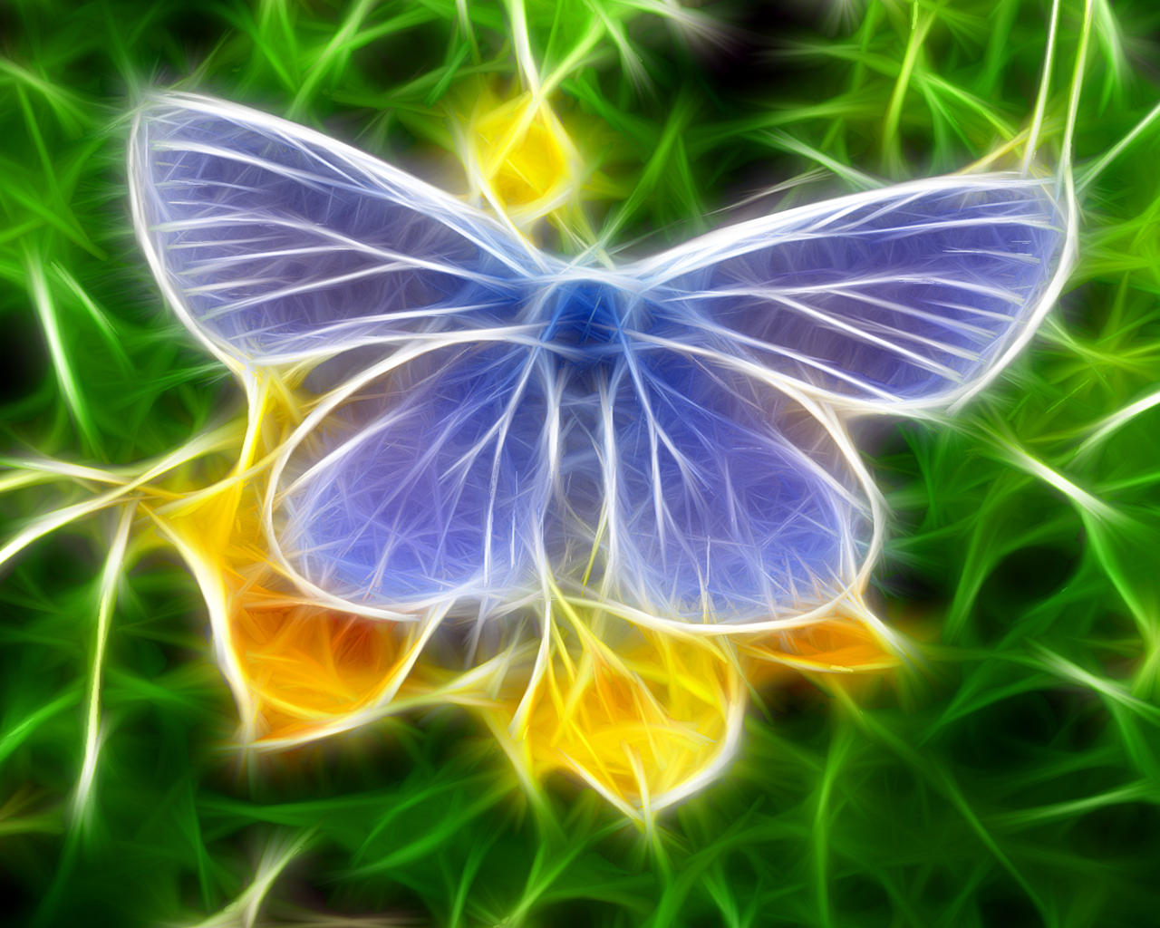 3D Butterfly Wallpapers