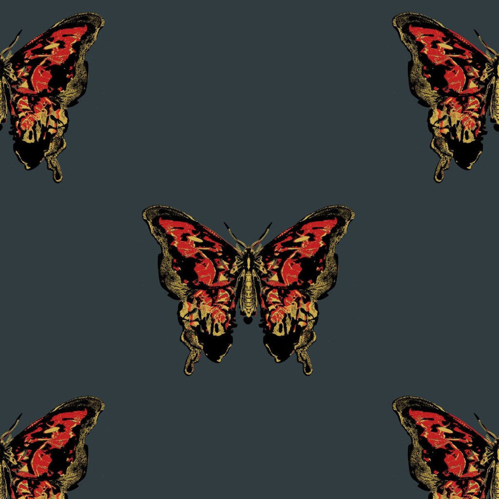 3D Butterfly Wallpapers