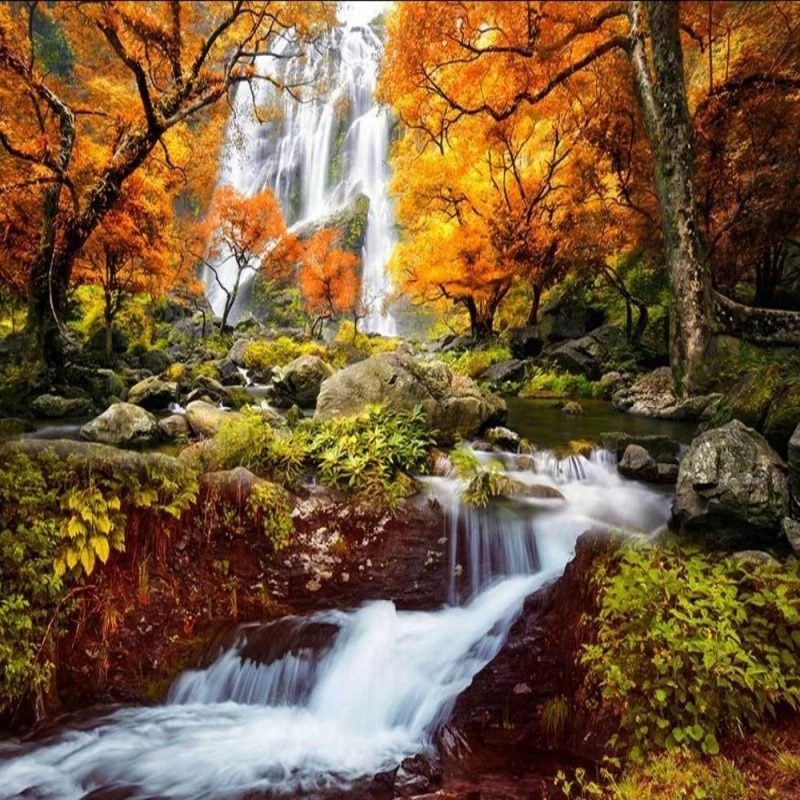 3D Fall Wallpapers