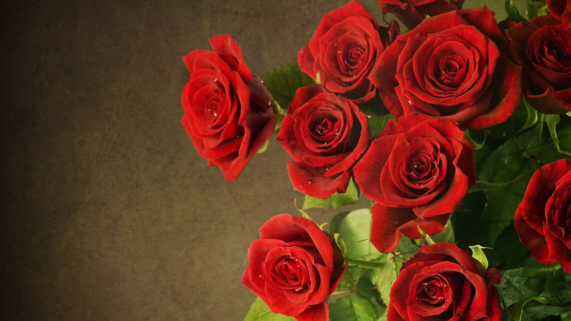 3D Flower Rose Wallpapers