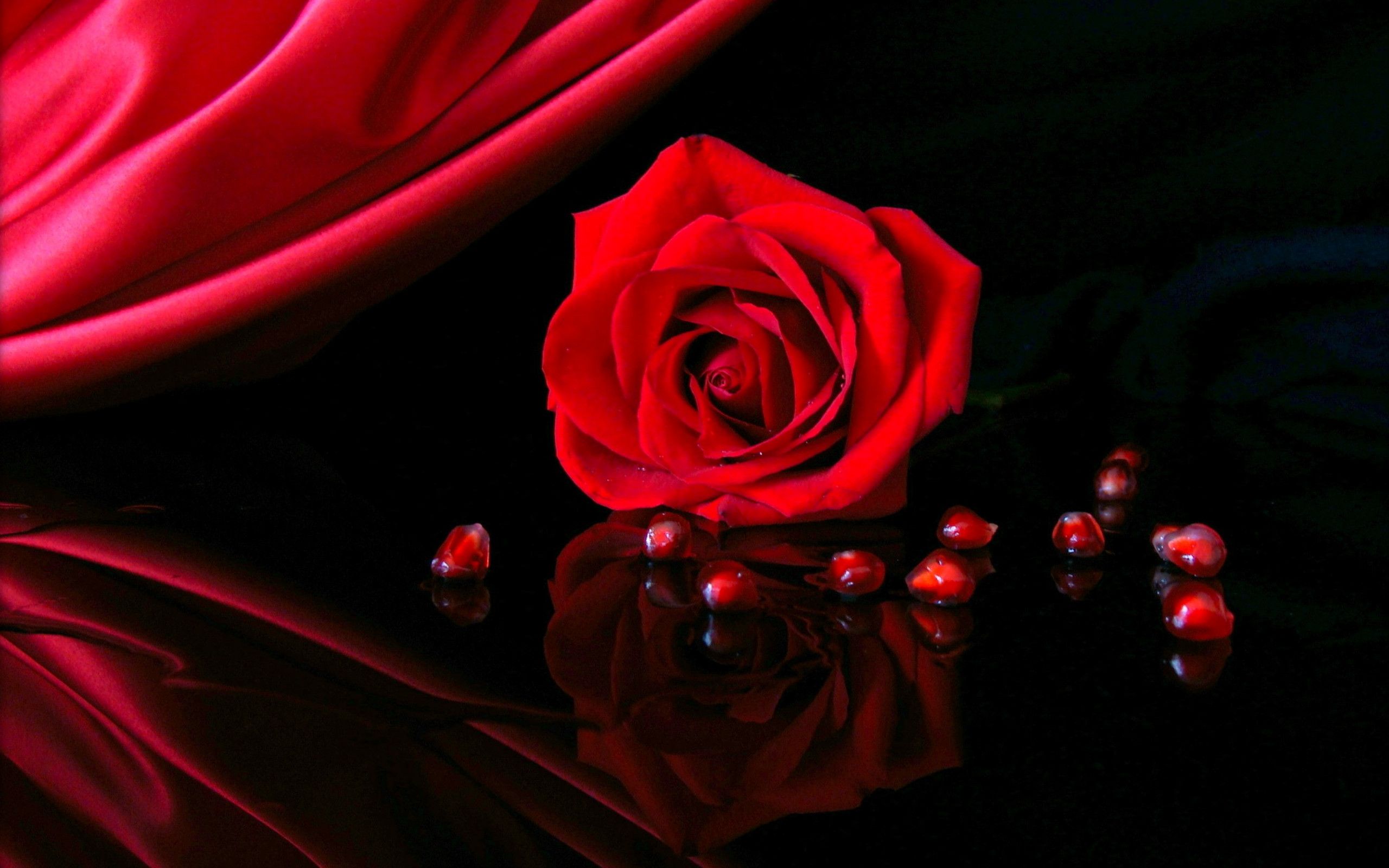 3D Flower Rose Wallpapers