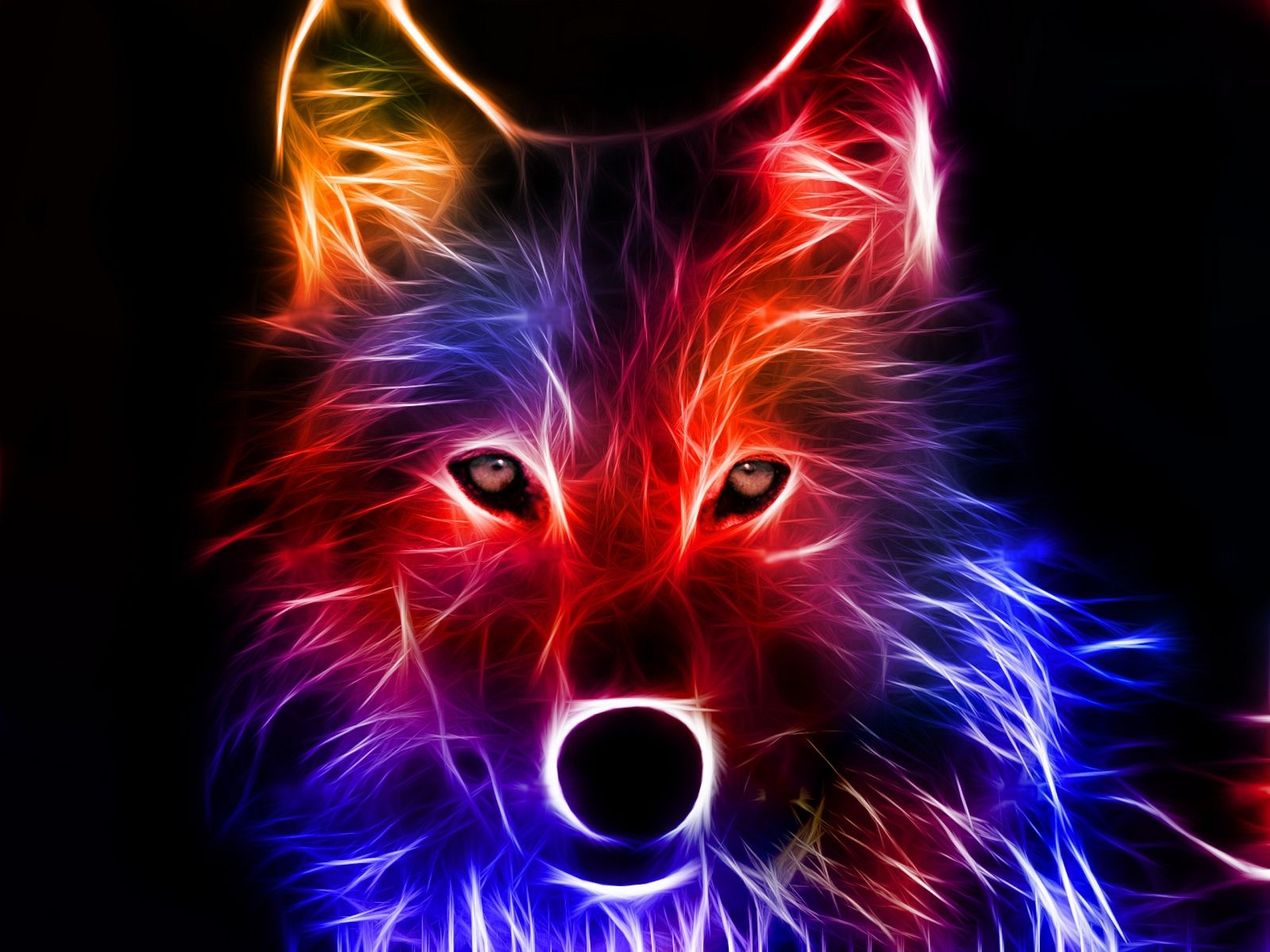 3D Hd Wolf Wallpapers