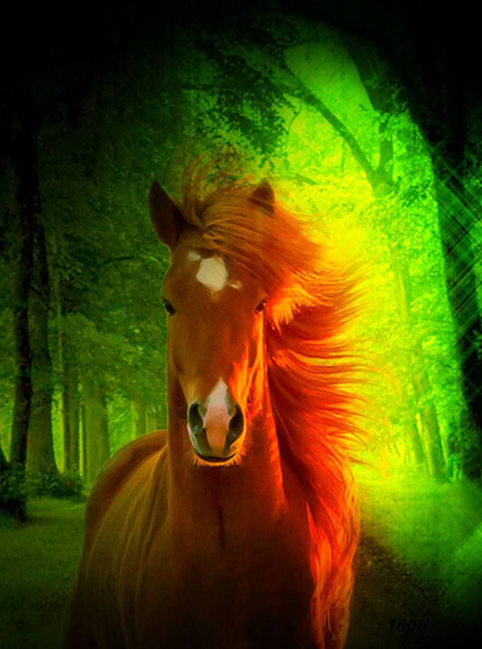 3D Horse Wallpapers