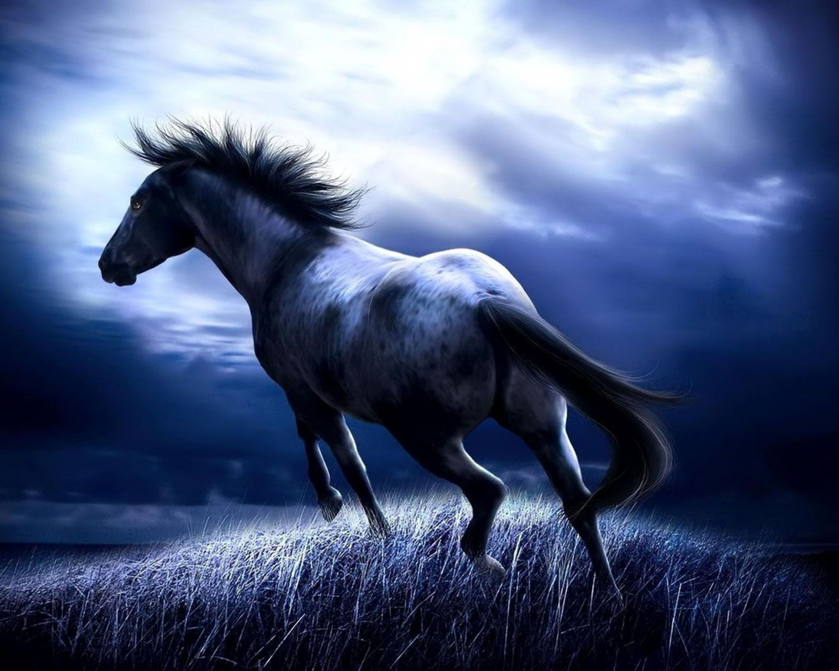 3D Horse Wallpapers