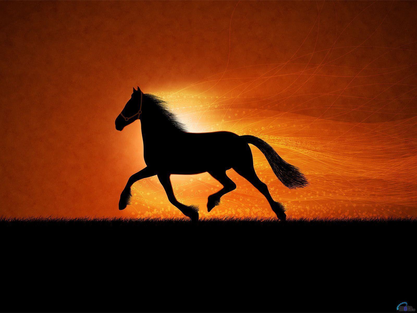 3D Horse Wallpapers