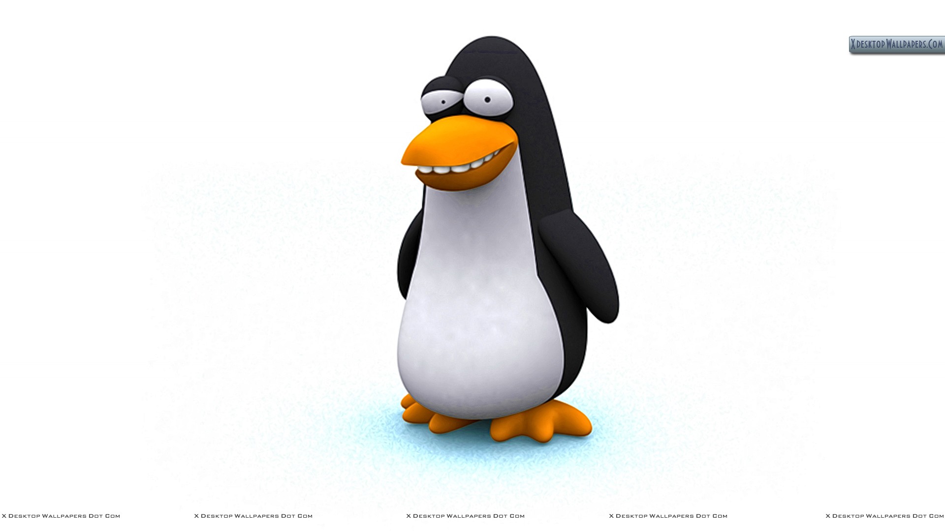 3D Penguin Wallpapers