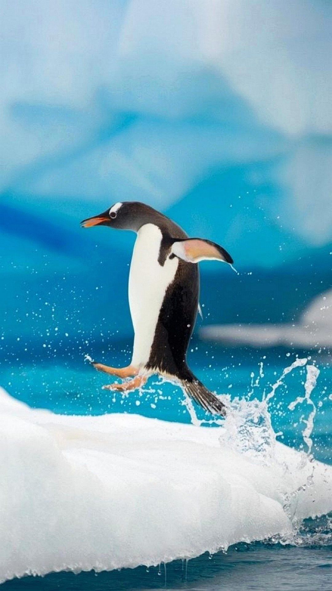 3D Penguin Wallpapers