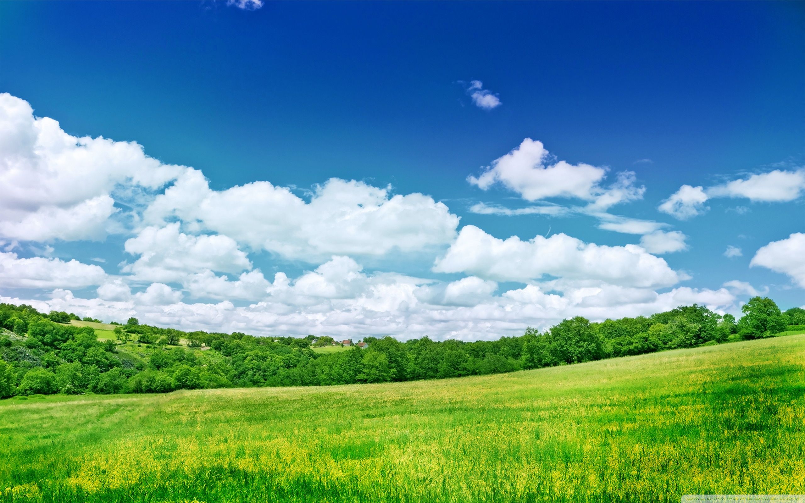 3D Summer Scenery Wallpapers